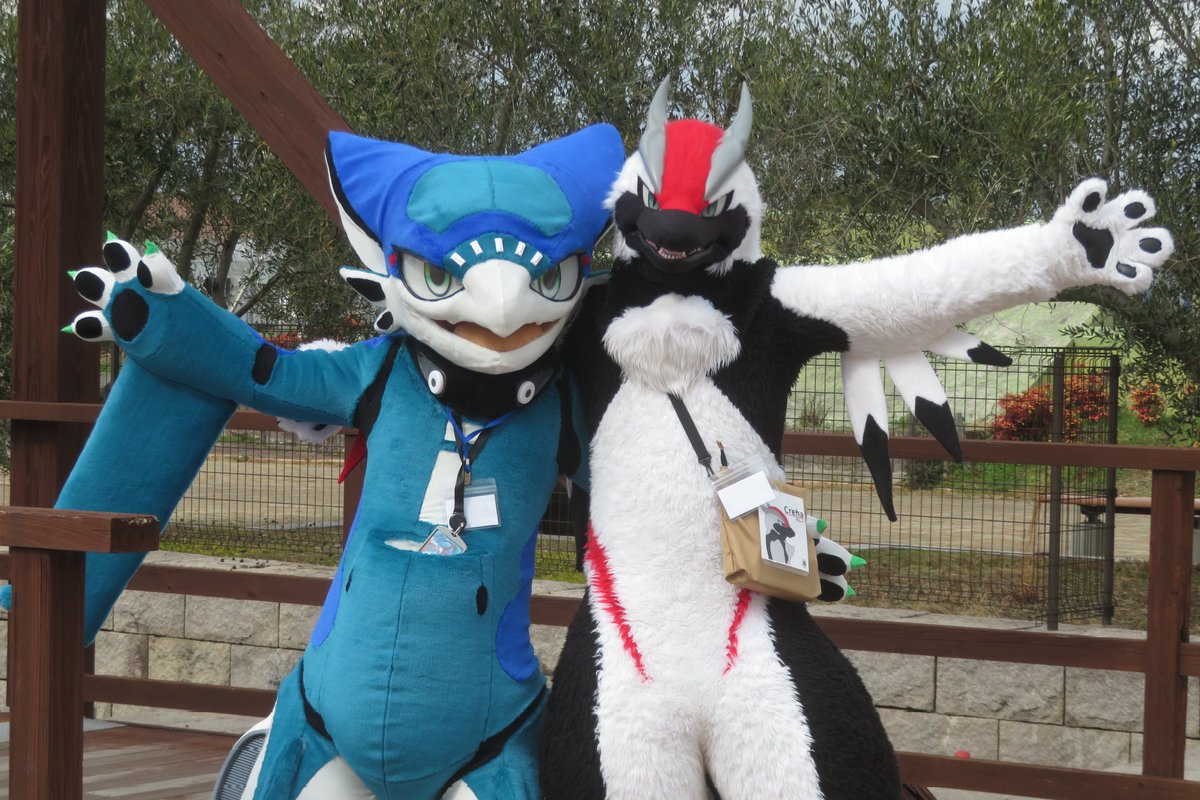 ふるかわ (Furukawa) tweet media