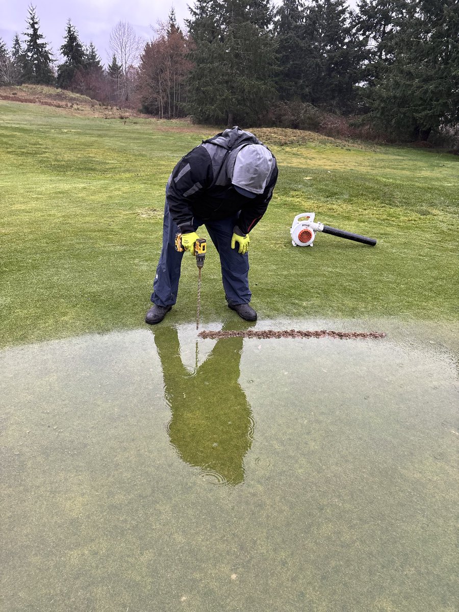 Pat Lethbridge tweet media