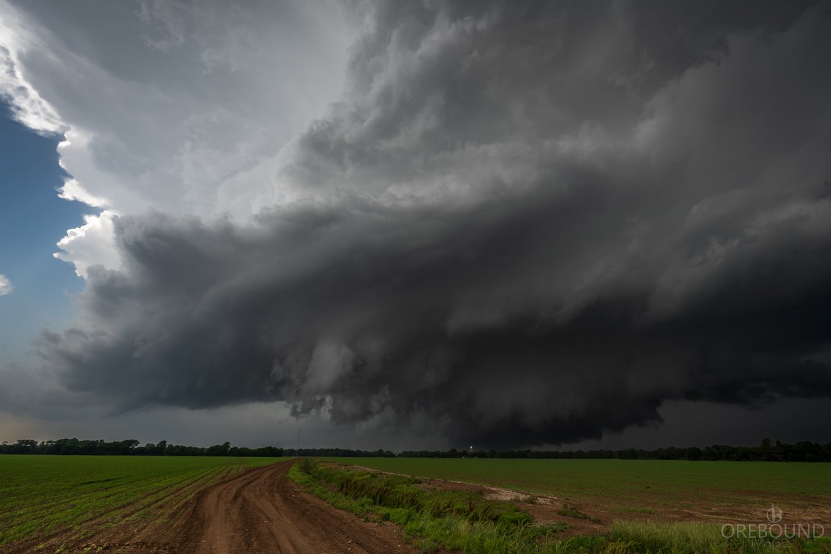 Jason H (AU) 🇦🇺 tweet media