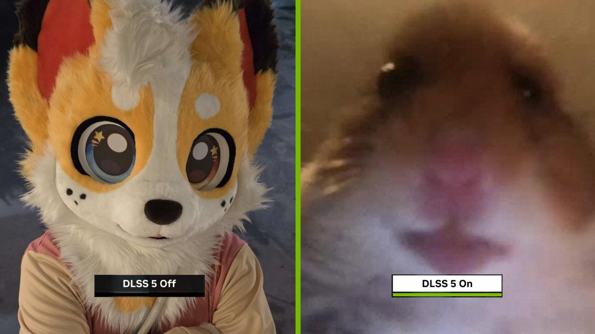 CorgiCam tweet media