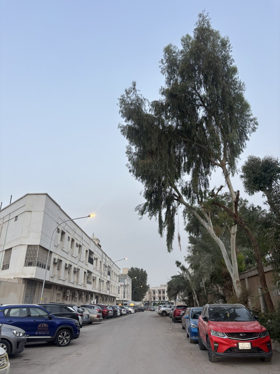 MSkyline tweet media