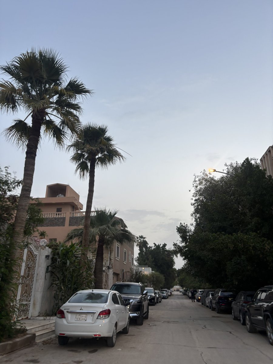 MSkyline tweet media