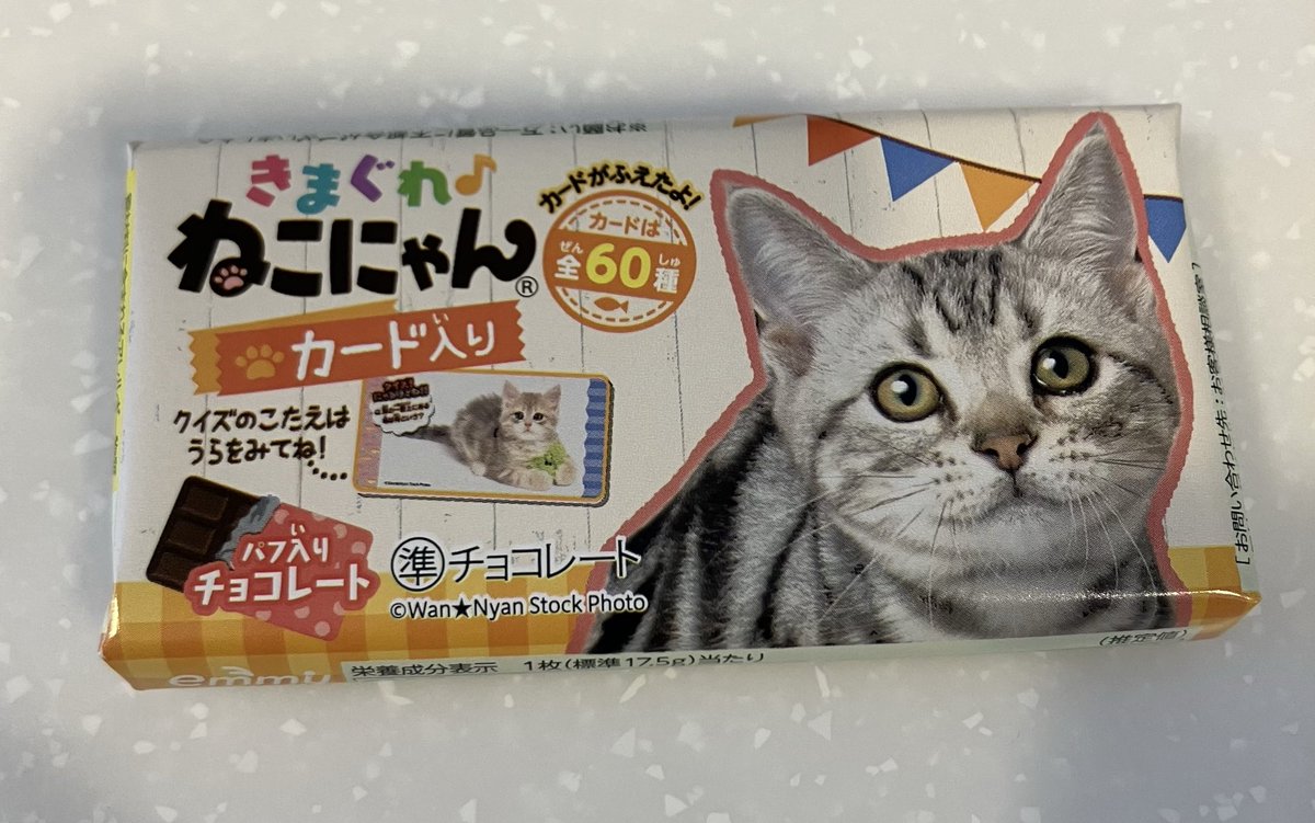 TATSUBON tweet media