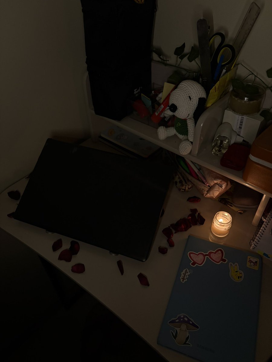 marte ⚖️ tweet media