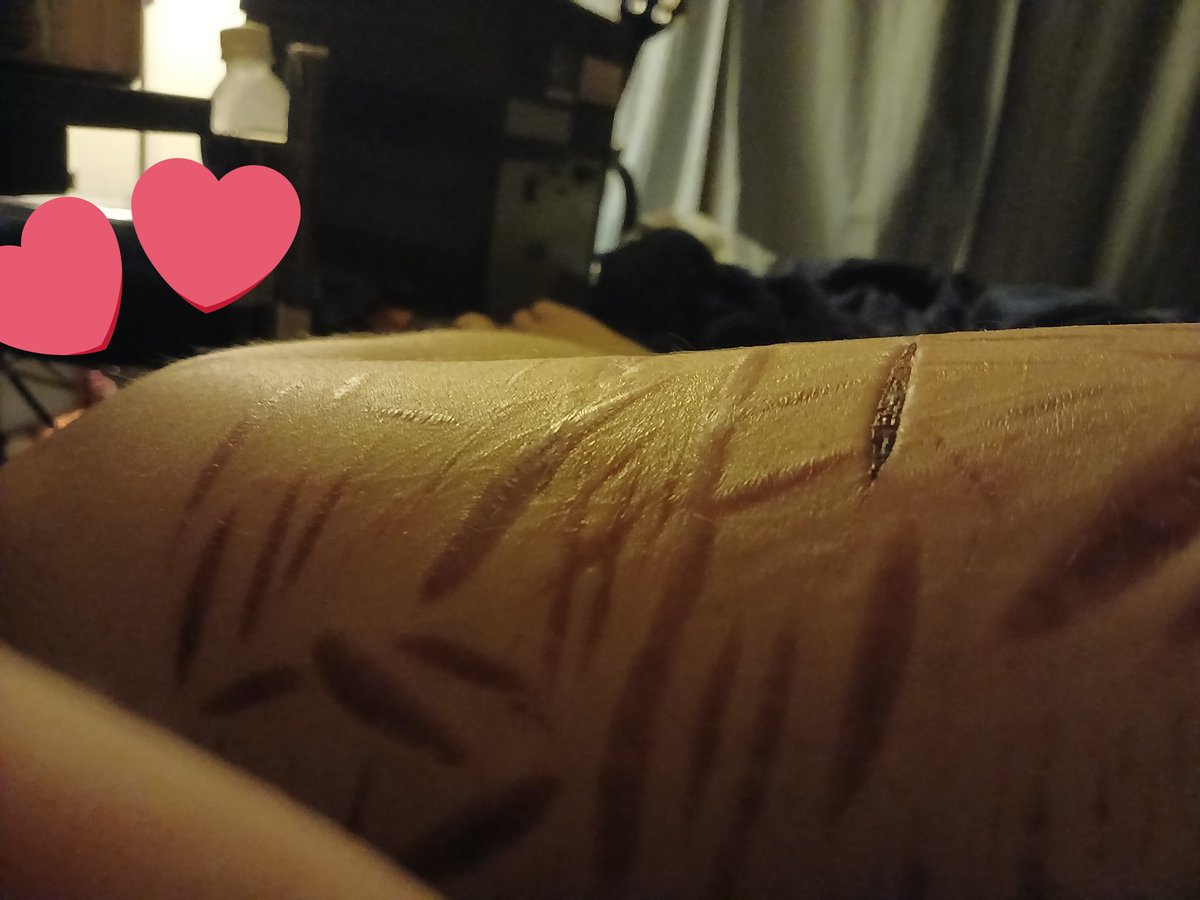 Katsura ☆•🪽 of shedtwt tweet media