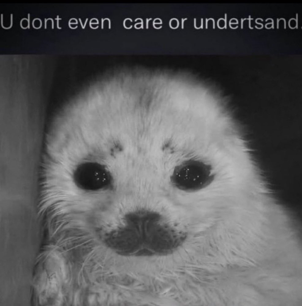 foxglove tweet media