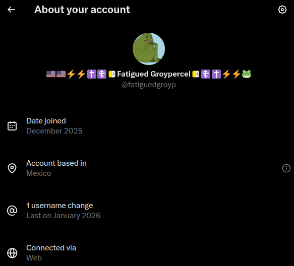 🇺🇸🇺🇸⚡⚡✝️☦️🇻🇦Fatigued Groypercel🇻🇦☦️✝️⚡⚡🐸 tweet media