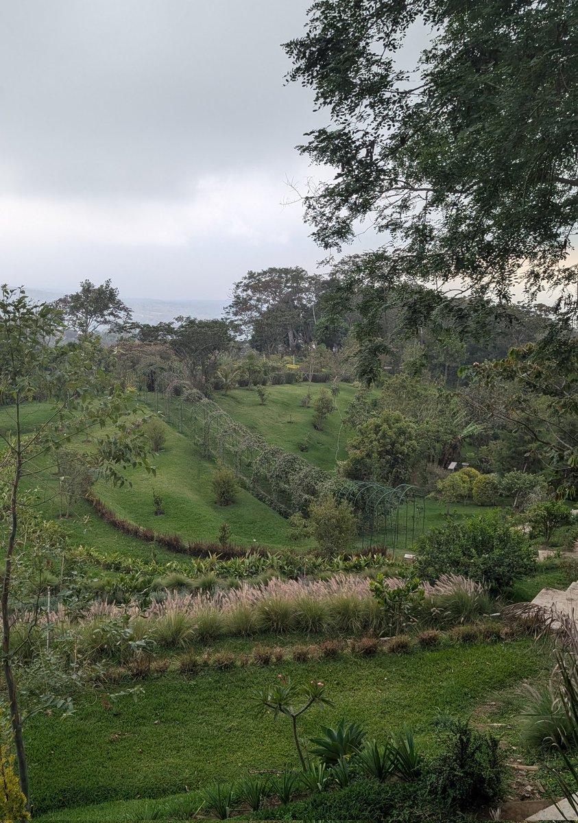 My Latin Life 🌴 tweet media