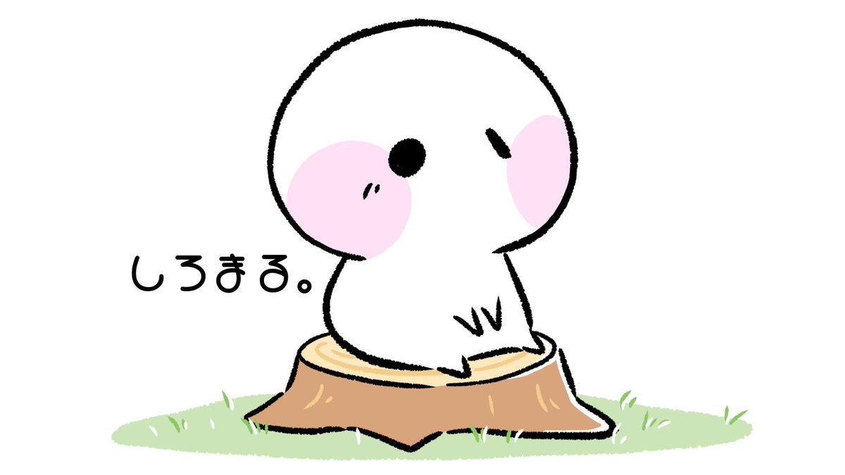 きゃみ tweet media