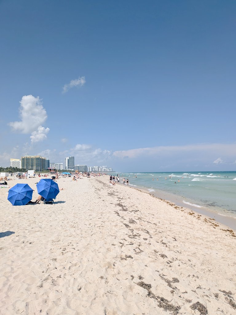 くりた tweet media