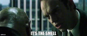 Andrew Buonopane tweet media