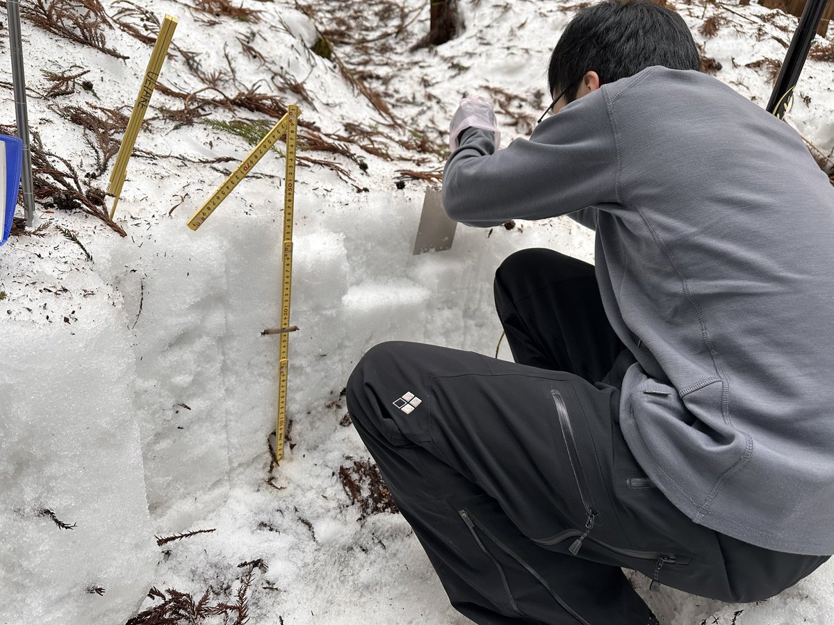 北大・植竹研 tweet media