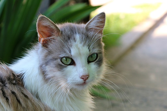 Mike Hayes tweet media