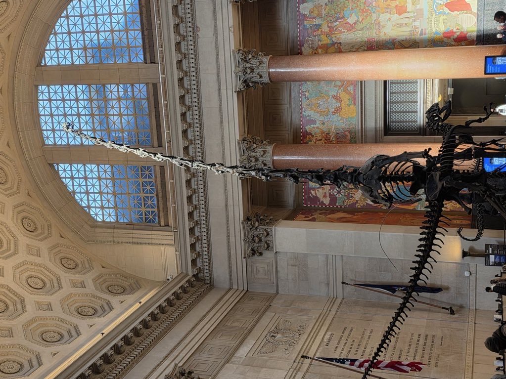 blessmebape's tweet image. this is the #vibe 🪨🗯️