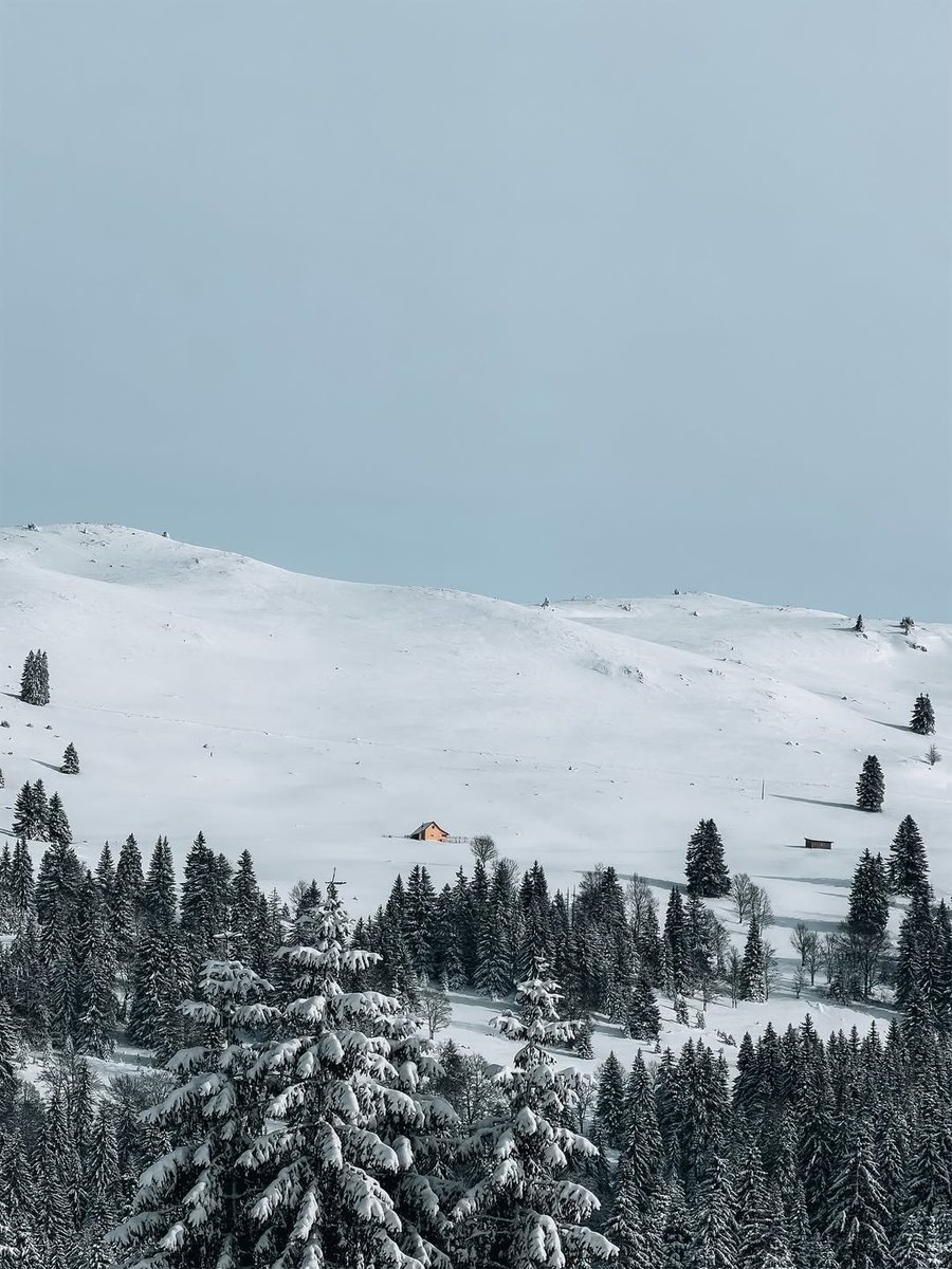 shot on iphone  tweet media