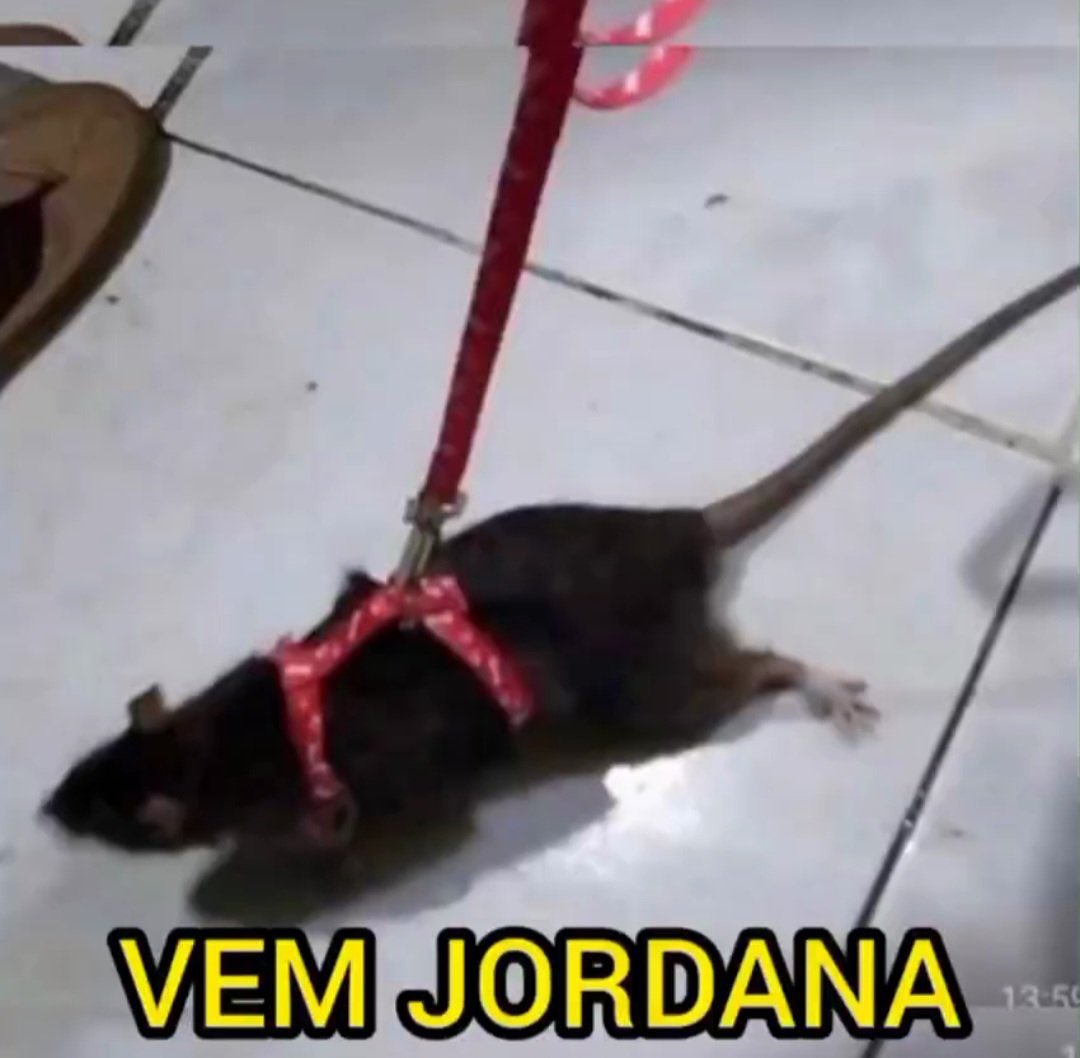 BBBelissima's tweet photo. Jordana: procure voce alguem pra segurar na tua mao porque eu nao seguro mais
Marciele: quando foi que eu te pedi pra segurar minha mao?

KKKKKKKKKKKKKKKKKKKKKKKK https://t.co/lcR9cjdR8X