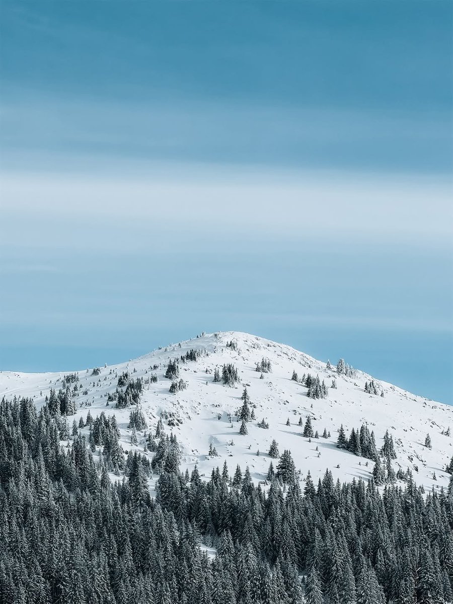 shot on iphone  tweet media