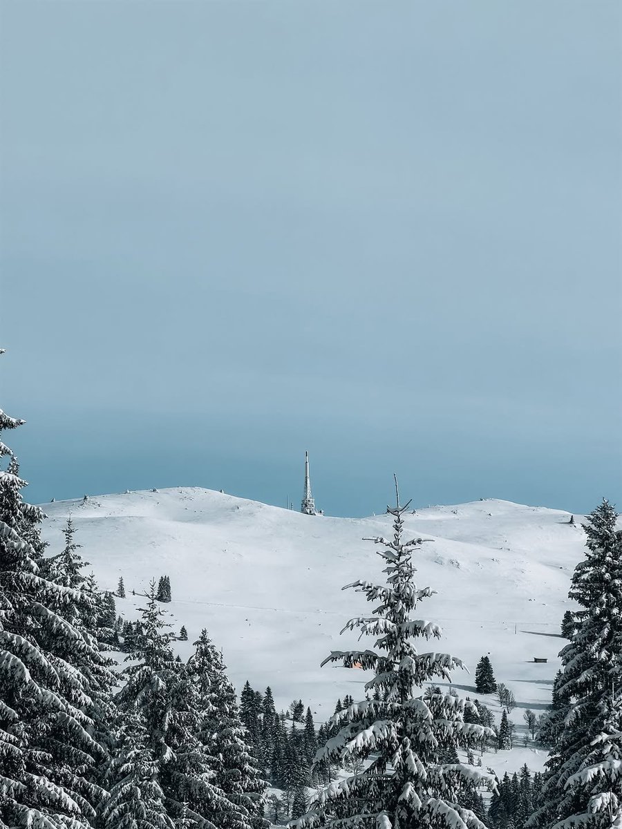 shot on iphone  tweet media