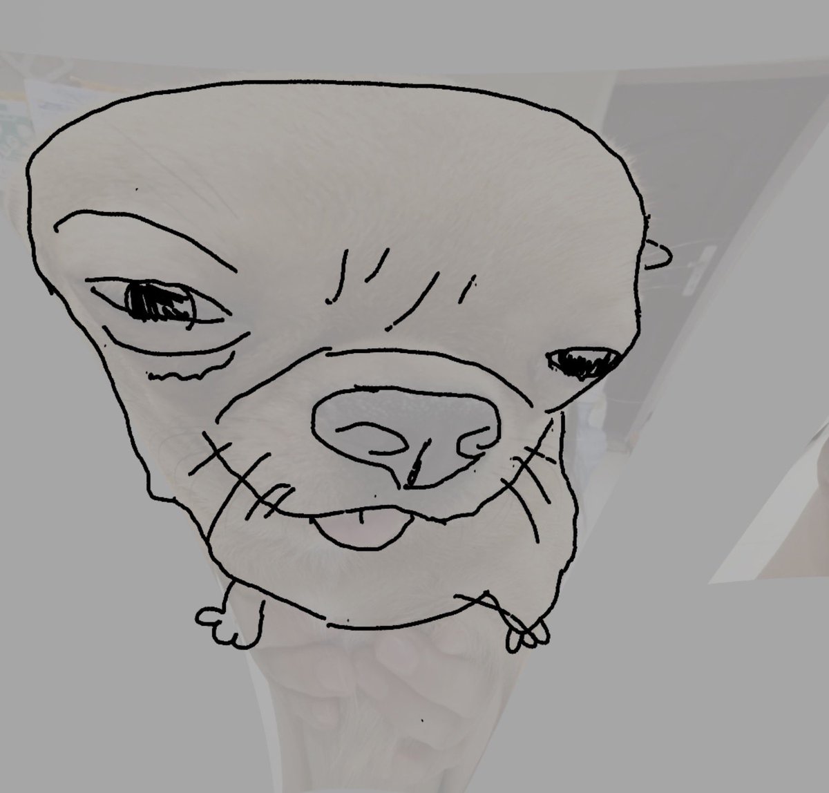 Roach 🔜 FWA tweet media