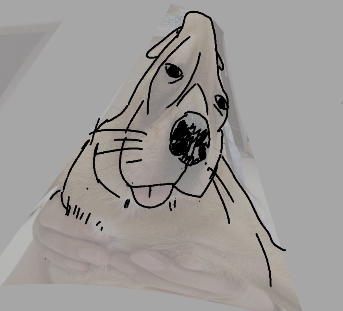 Roach 🔜 FWA tweet media