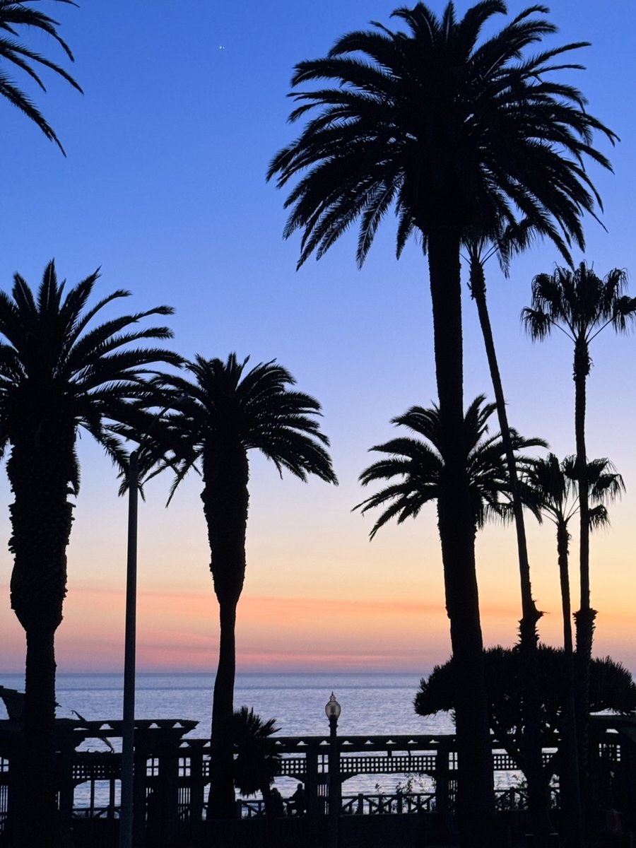 Tom Hall ☘️ tweet media