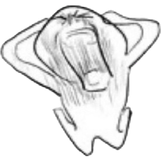 ˚✧₊⁎ rennie ༄ tweet media