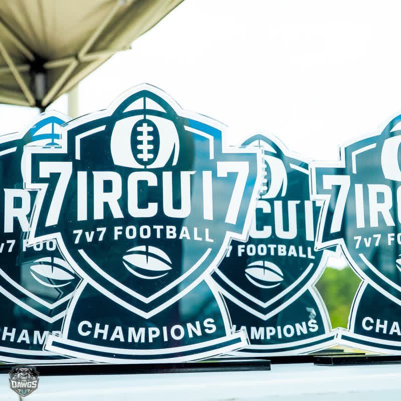 Mississippi Dawgs United 7v7 tweet media