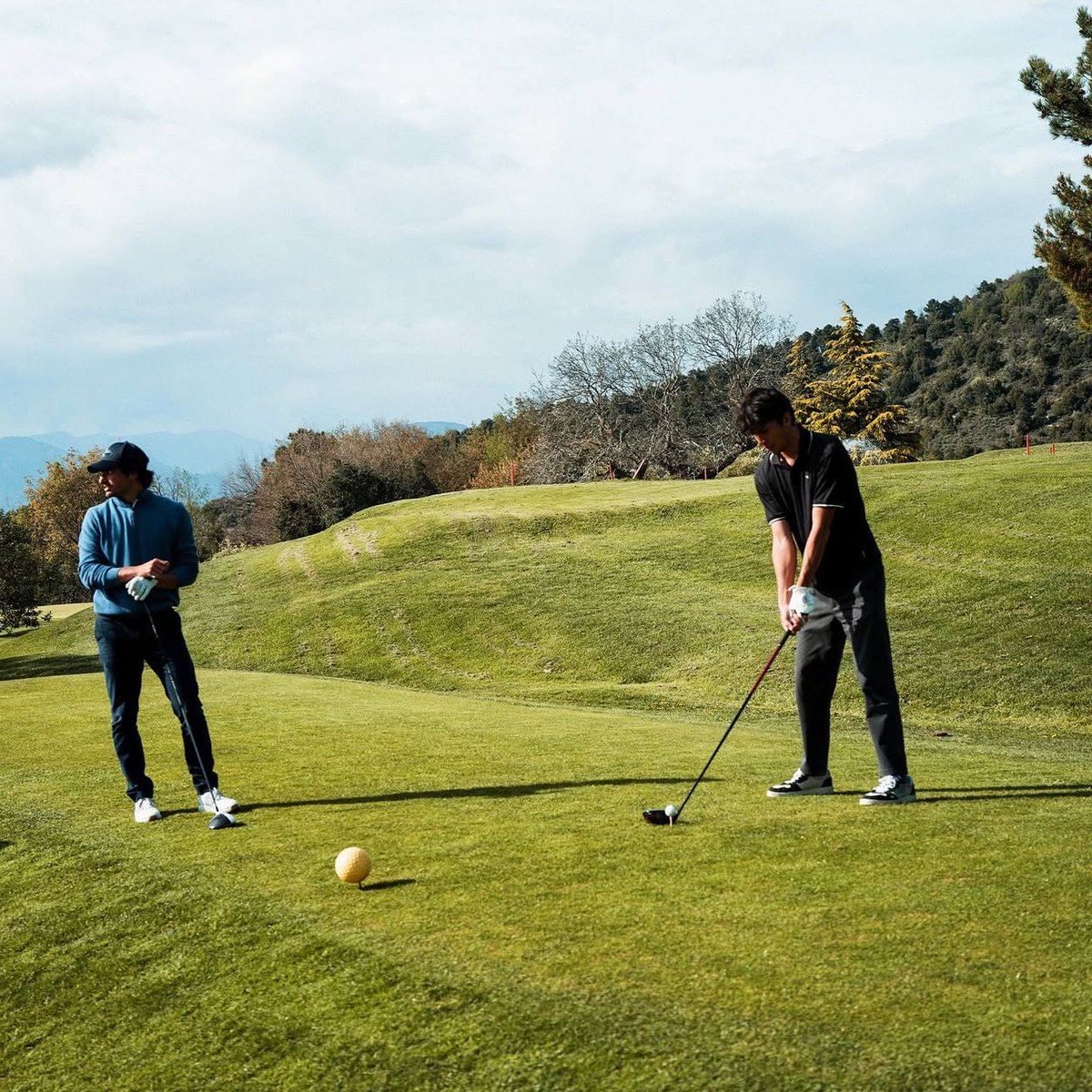 ˚✧₊ tweet media