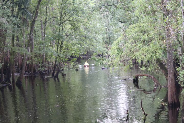 wildercountry's tweet photo. Art of the Day! "take a paddle". Buy at: https://t.co/WeVc2YzHJv https://t.co/uCoIRzHEj7