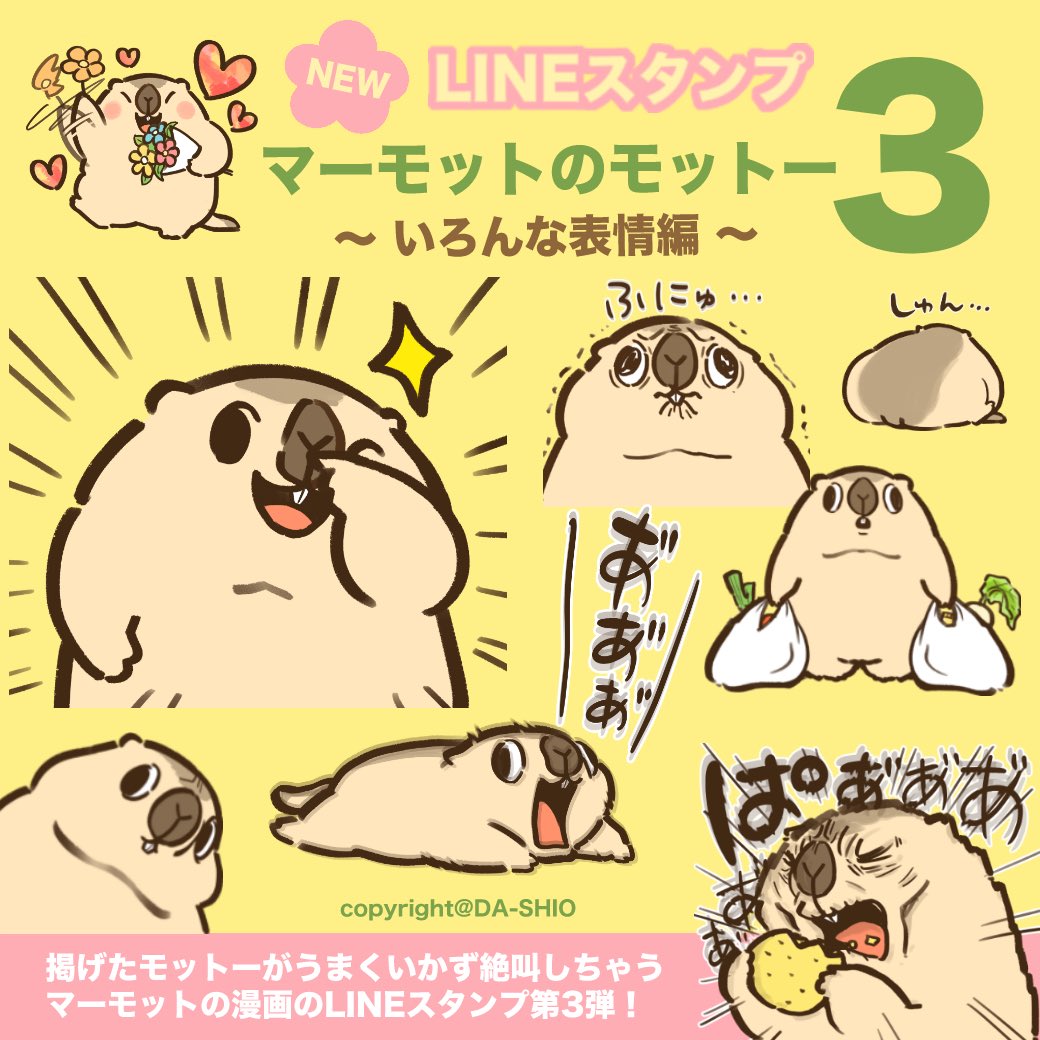 マーモットのモットー tweet media