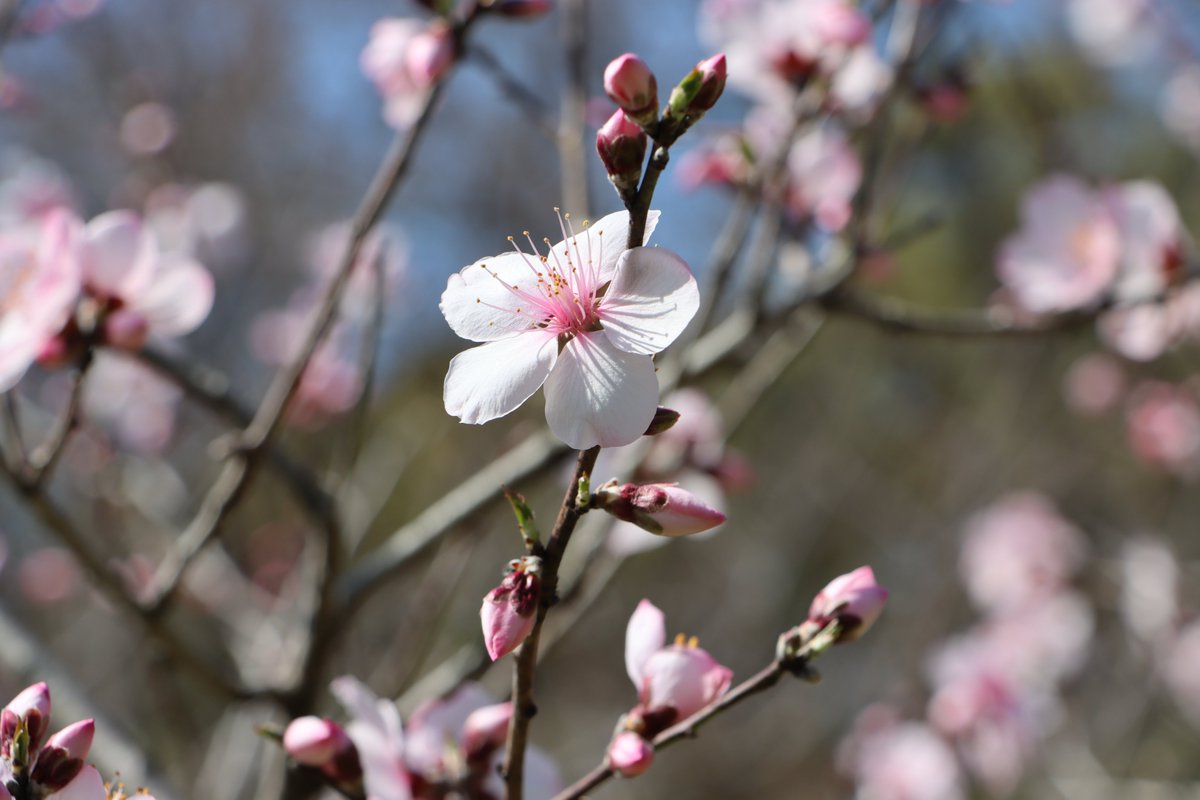 長居植物園 tweet media