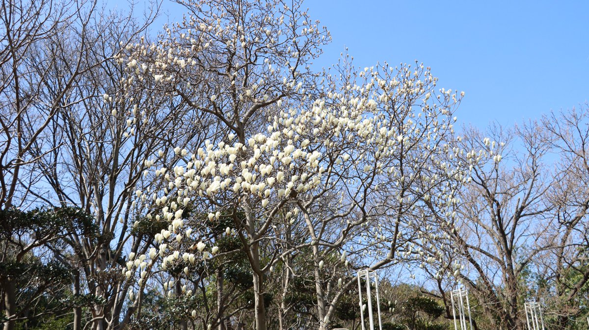 長居植物園 tweet media