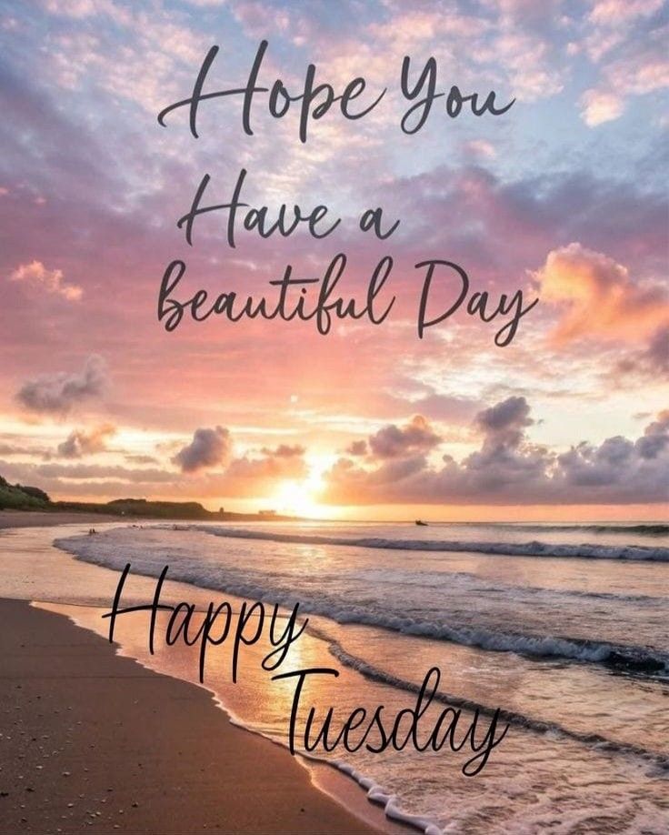 Martie Bothma tweet media