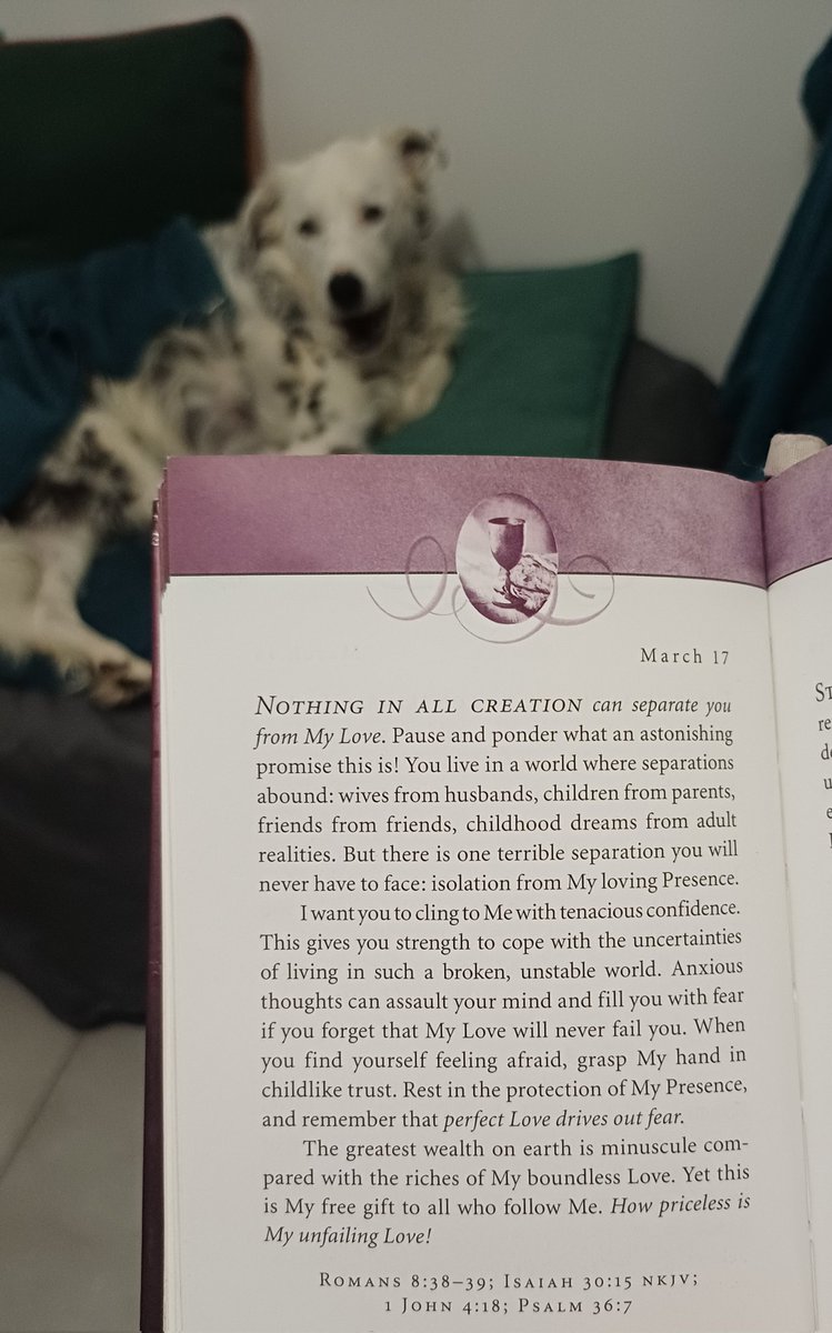 Monique van der KZN 🇿🇦 tweet media