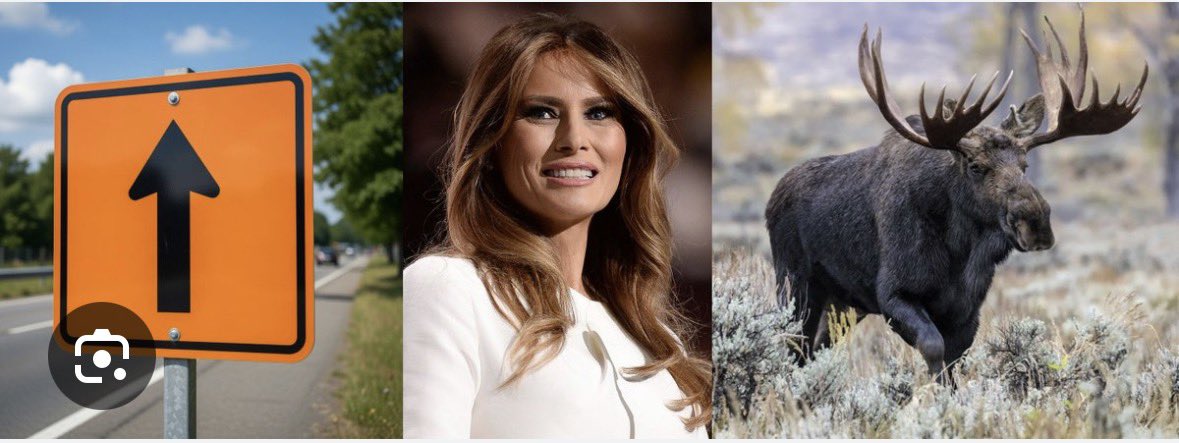 Greg Camp tweet media