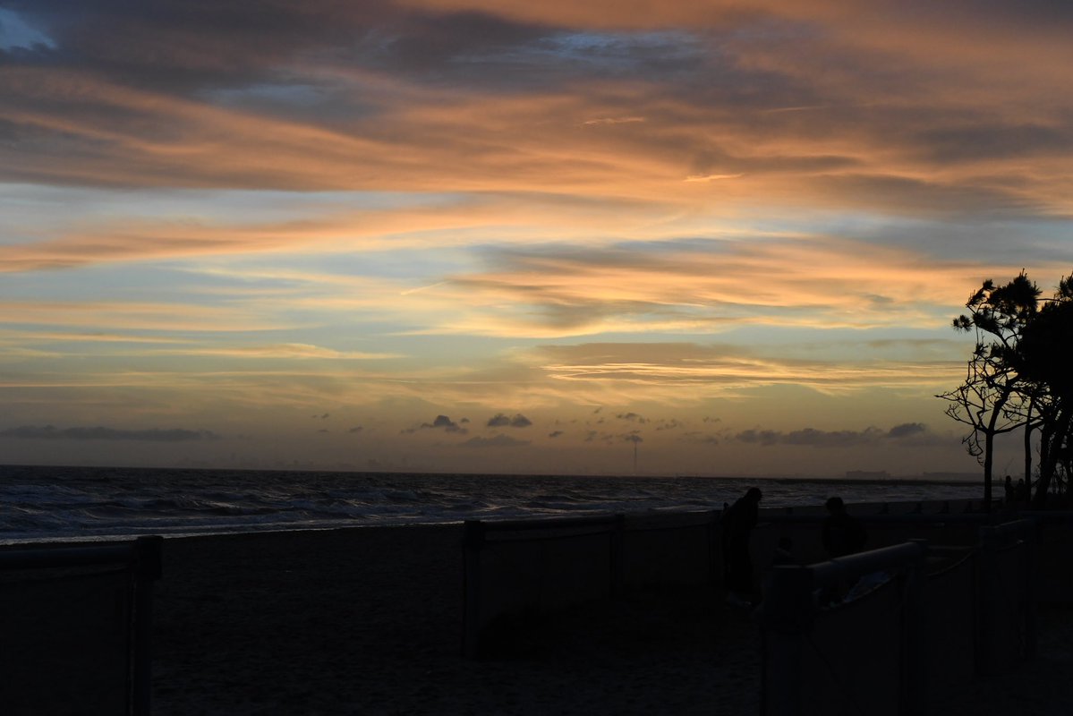 ちゃんと稲毛海岸で撮ってた頃の写真出てきた