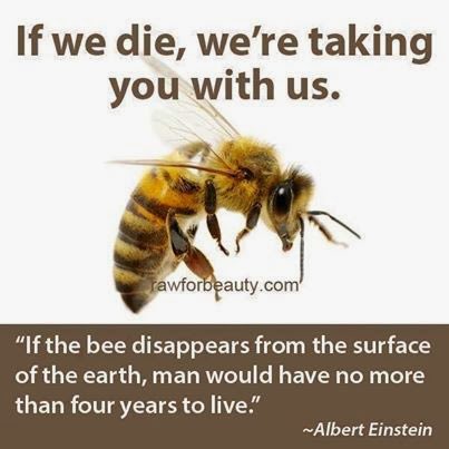 RC deWinter tweet media