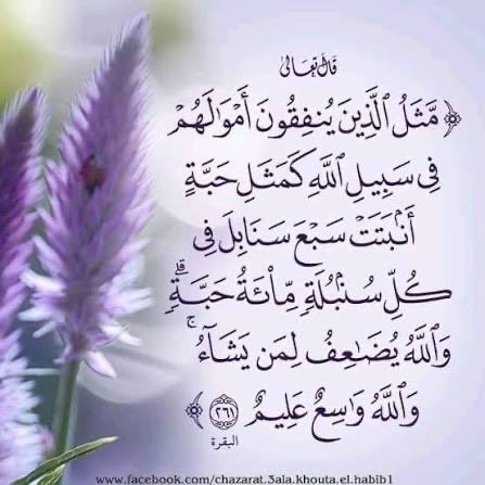 وكلت امري الي الله (@so1002003) on Twitter photo 