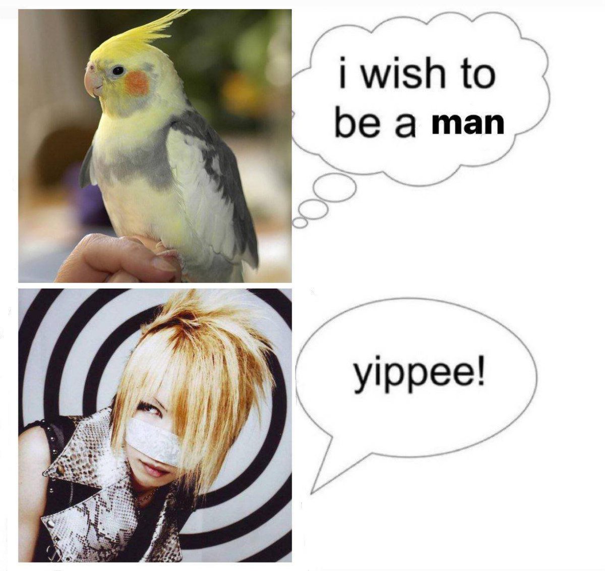 Hi_Takashima's tweet photo. идея подсмотрена на просторах интернета и доделана😄
#theGazette https://t.co/uALZIoQUUa