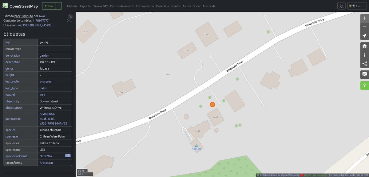 openmapchile's tweet photo. 🌴🇨🇱📌🗺️ 📢1° registro de #Jubaea chilensis en🇨🇦,  para #OpenStreetMap en la localidad de Bowen Island Municipality,  Metro Vancouver Regional District, Columbia Británica, Canadá.  A nivel  mundial es el registro n° 5319 en OSM, visor #MapComplete #AUPV https://t.co/QHa1H7a5oB https://t.co/3t4iuITe1z