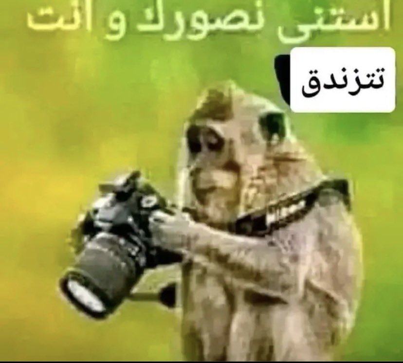 نواف tweet media