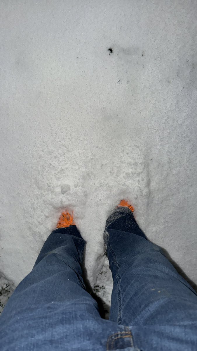 Michael Gibson tweet media