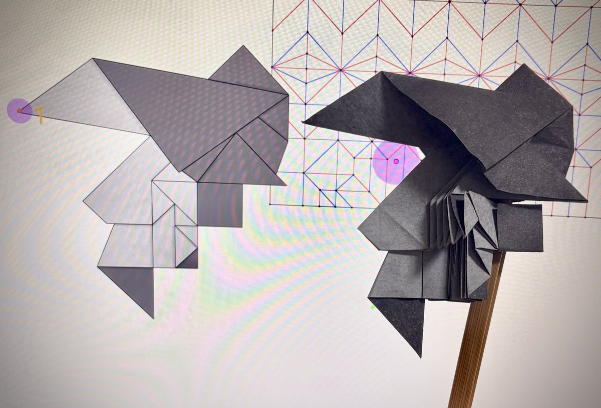 土井 源 tweet media