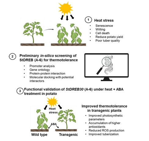 日本植物学会 tweet media