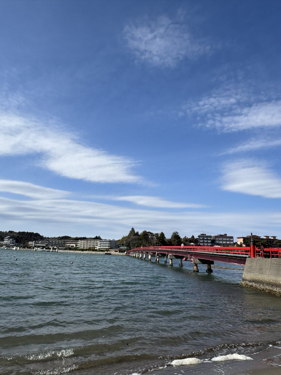 しろ🐕 tweet media