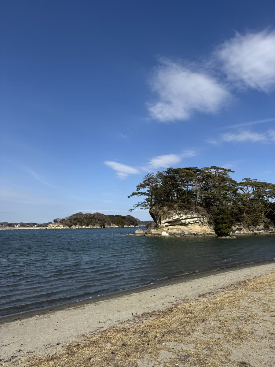 しろ🐕 tweet media