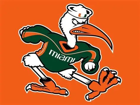 Neff Giwa tweet media