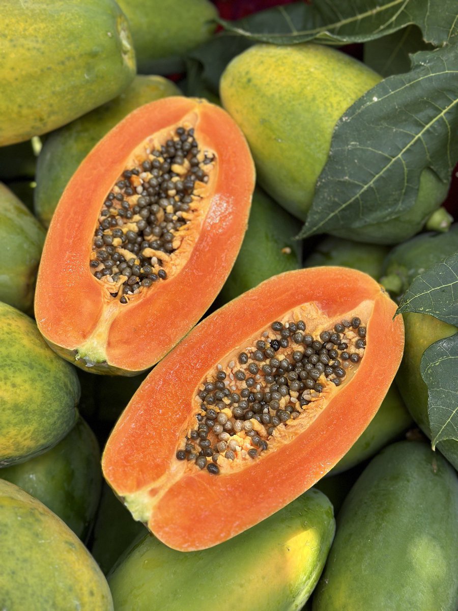 马泮艳 tweet media