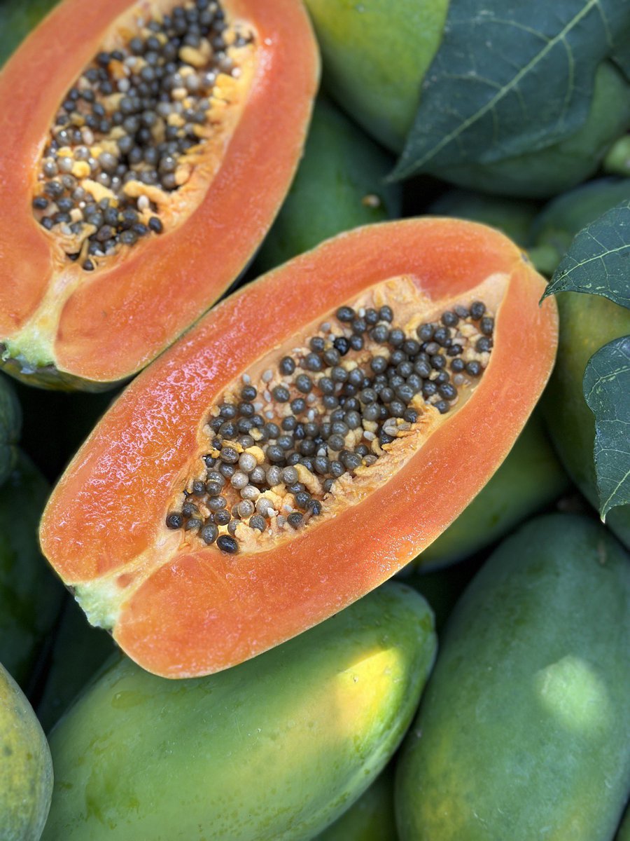 马泮艳 tweet media