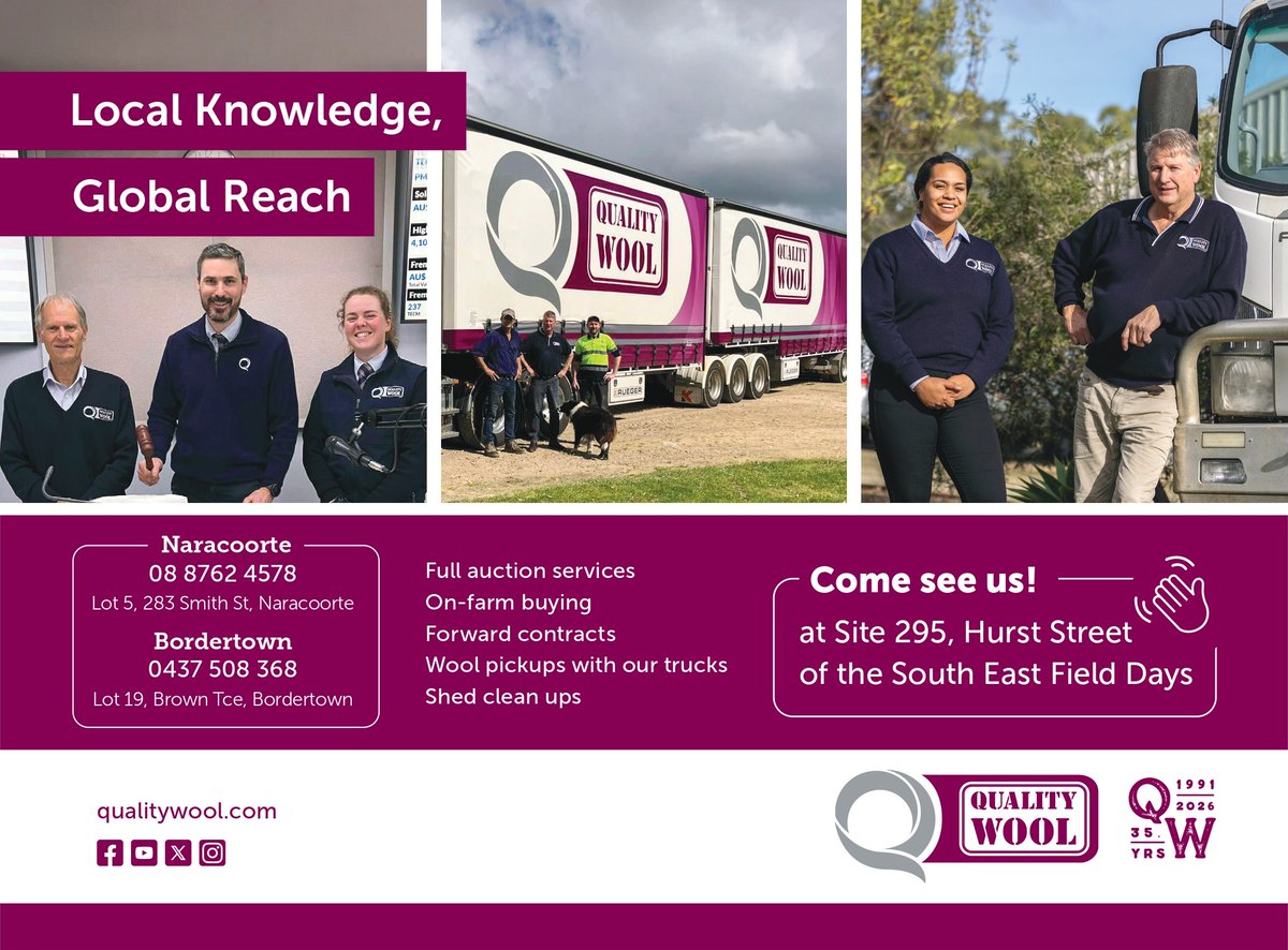 Quality Wool tweet media